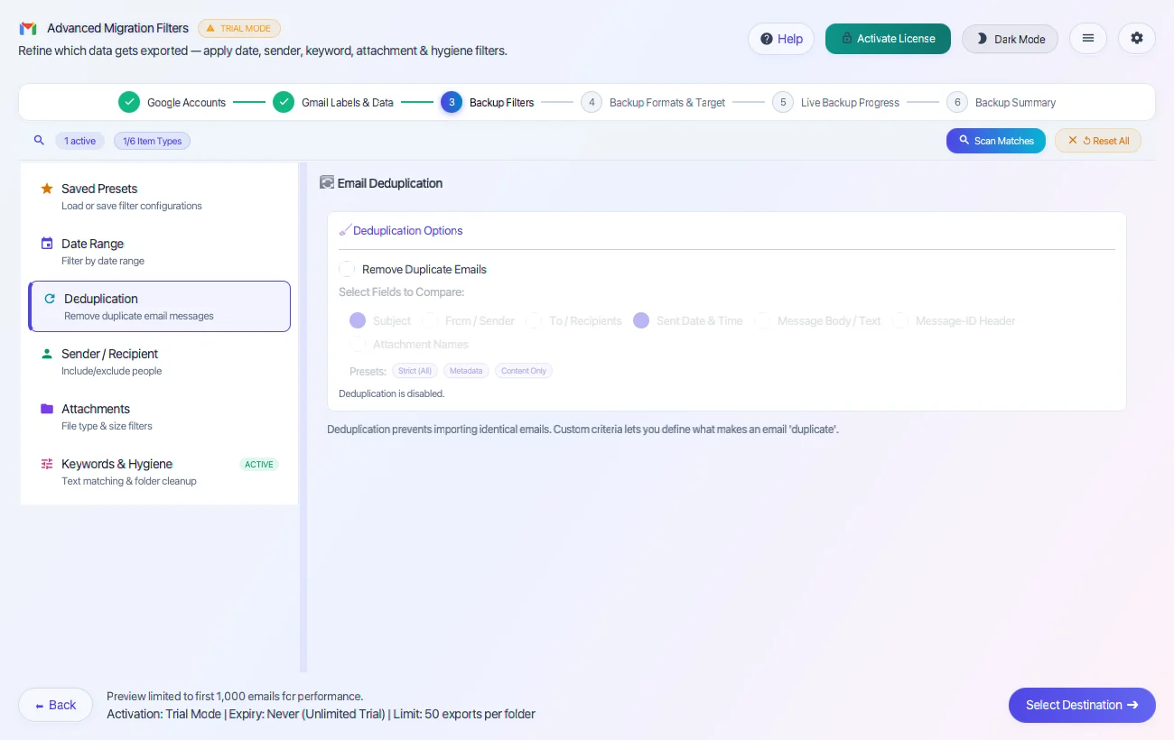 Step 03: Apply Optional Filters — Gmail Backup Tool Interface Walkthrough