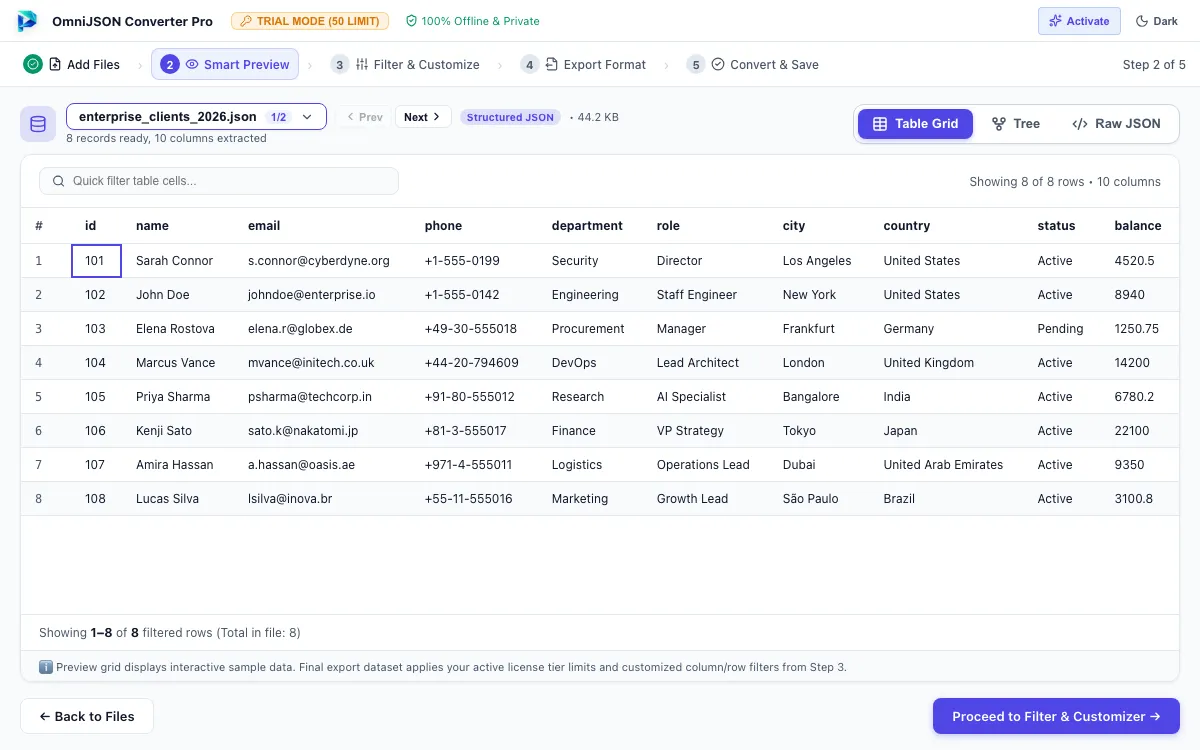 Step 02: Preview Structure & Data Table — JSON Converter Tool Interface Walkthrough