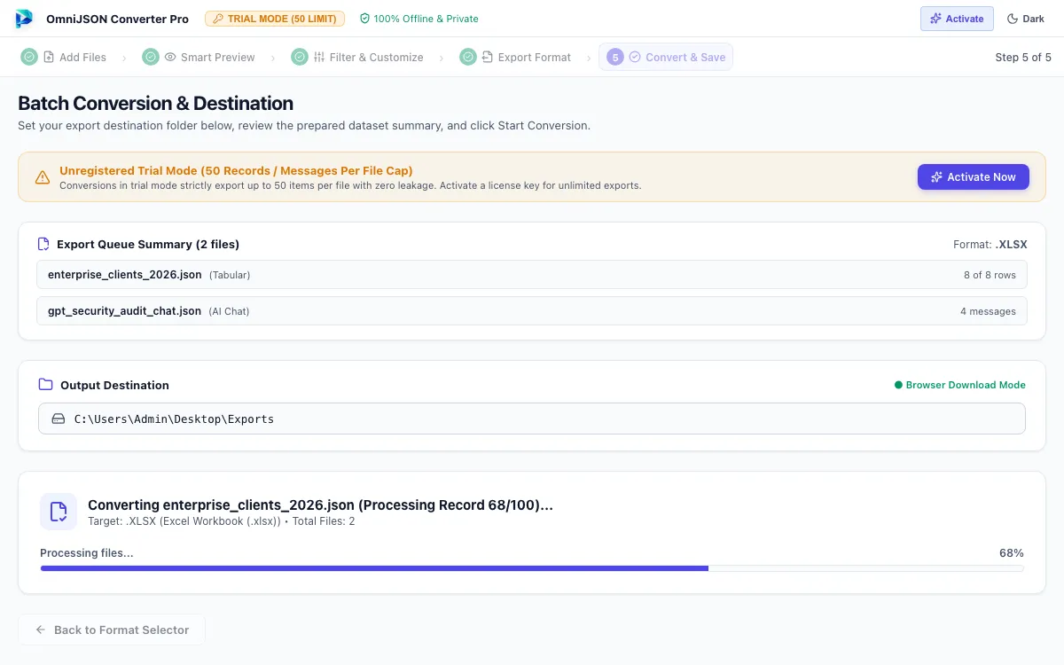 Step 05: Execute Conversion Job — JSON Converter Tool Interface Walkthrough