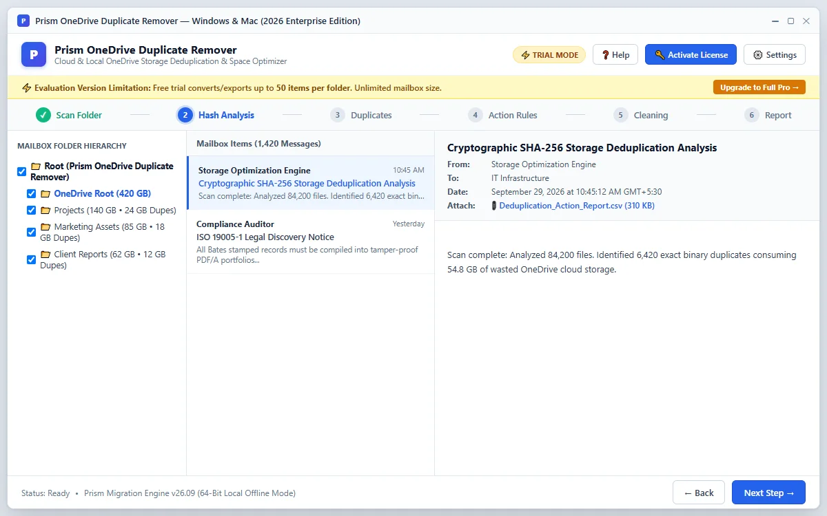 Step 02: Choose File Categories — OneDrive Duplicate Remover Interface Walkthrough
